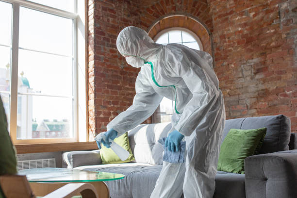 Reliable Basye, VA Mold Removal Solutions